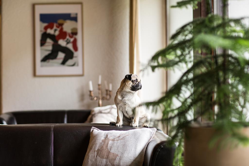 Hotel Garni Romerhof Innsbruck Kültér fotó